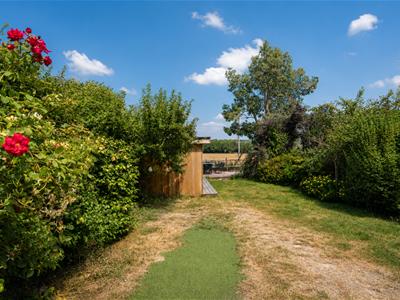 Picture 19